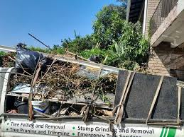 Best Commercial Junk Removal  in Coal City, IL