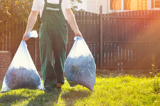 Best Shed Removal  in Coal City, IL